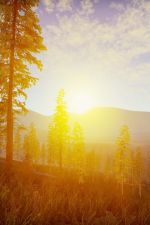 Screenshot #10 - My Village Life