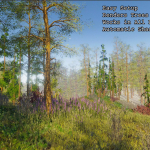 Screenshot #2 - Foliage Renderer