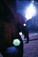 Screenshot #4 - Spider Maze