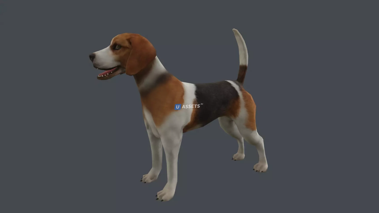 Screenshot #3 - Animal pack deluxe v2 1.0