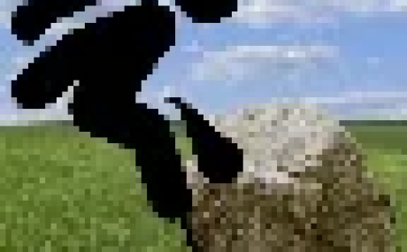 ПРЫЖОК КАМНЯ