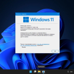 Screenshot #24 - Windows 11 21H2 Compact & FULL x64 [22000.318] by Flibustier