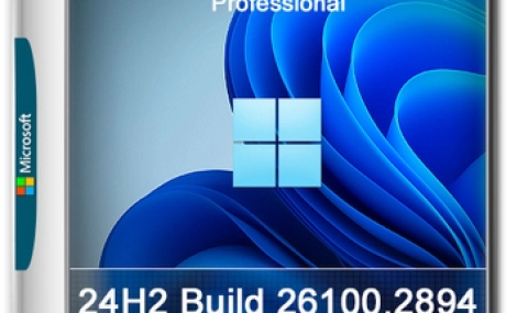 Windows 11 Pro 24H2 Build 26100.2894 Full Январь 2025