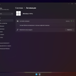 Screenshot #7 - Windows 11 Pro 24H2 build 26100.4349 Lite