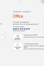 Screenshot #1 - Microsoft Office 2021 Professional Plus — Полный пакет офисных приложений (активированный)