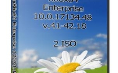 Windows 10x86x64 Enterprise 10.0.17134.48 (Uralsoft)