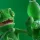 Arnold 4.9.1.1 for Cinema 4D 2026  + активация