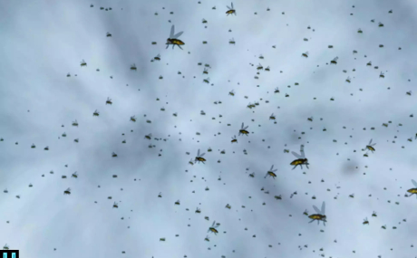 Fly Particle System