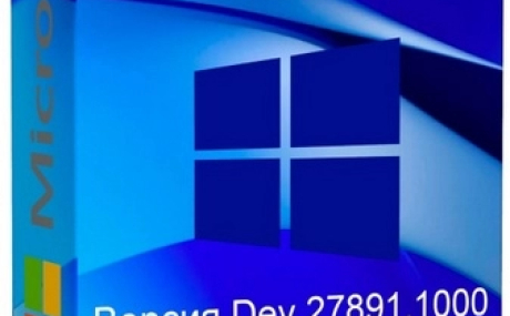 Windows 11 Pro Русская Dev Build 27891.1000