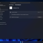 Screenshot #6 - Windows 11 Pro 24H2 build 26100.6584 Stable
