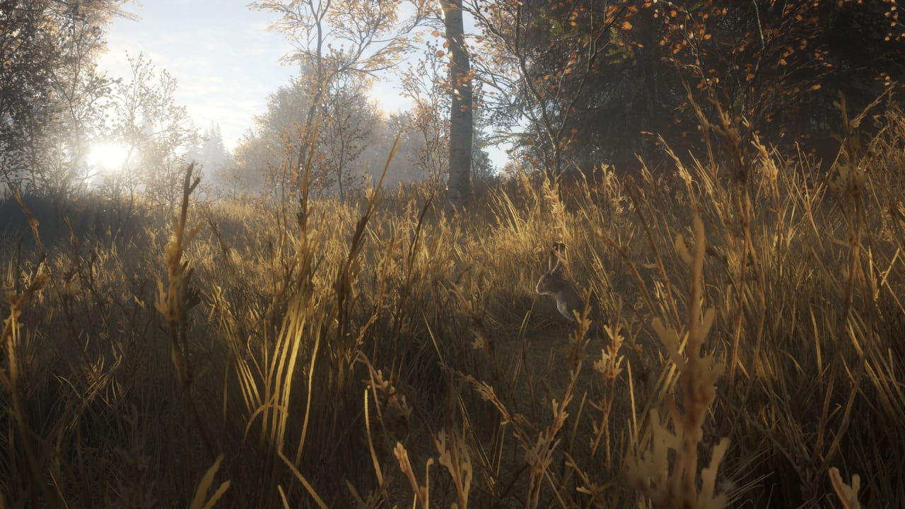 Screenshot #7 - theHunter: Call of the Wild