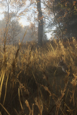 Screenshot #7 - theHunter: Call of the Wild