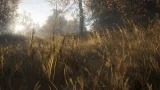 Screenshot #7 - theHunter: Call of the Wild