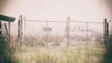 Screenshot #9 - Ghost Town VOL.3 - Modular Fences for Unreal Engine