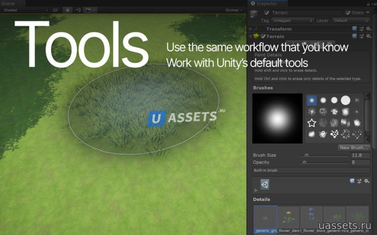 Screenshot #4 - Nature Renderer: Personal License