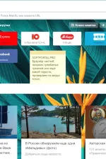 Screenshot #1 - Atom браузер