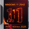Windows 11 25H2 Pro x64 iso 26200.5670 для флешки - быстрая установка