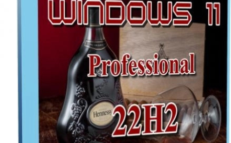 Windows 11 Professional 22621.1 x64 (2022) [Rus] by Tatata