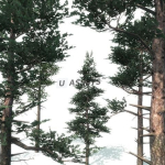 Screenshot #3 - Scots Pine Trees Package