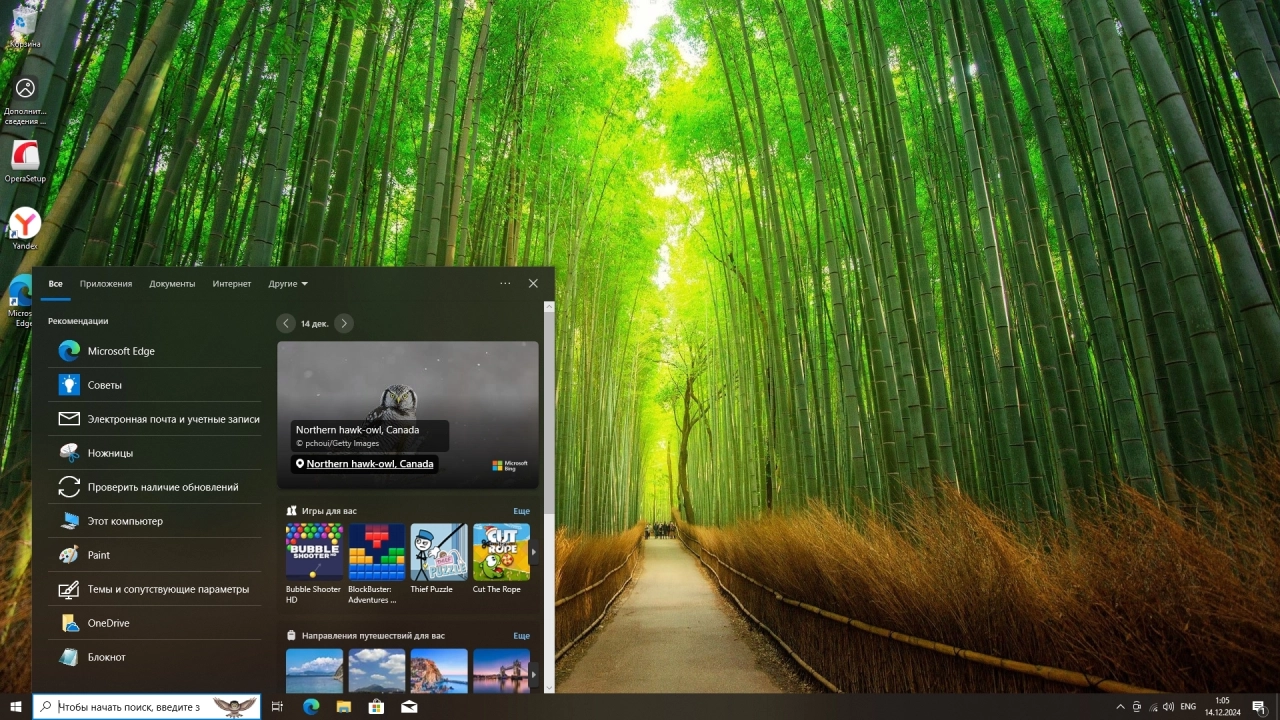 Screenshot #4 - Windows 10 Pro 22H2 Build 19045.5247 Full Декабрь 2024