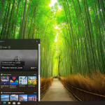 Screenshot #4 - Windows 10 Pro 22H2 Build 19045.5247 Full Декабрь 2024