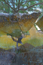 Screenshot #7 - Zoo Simulator