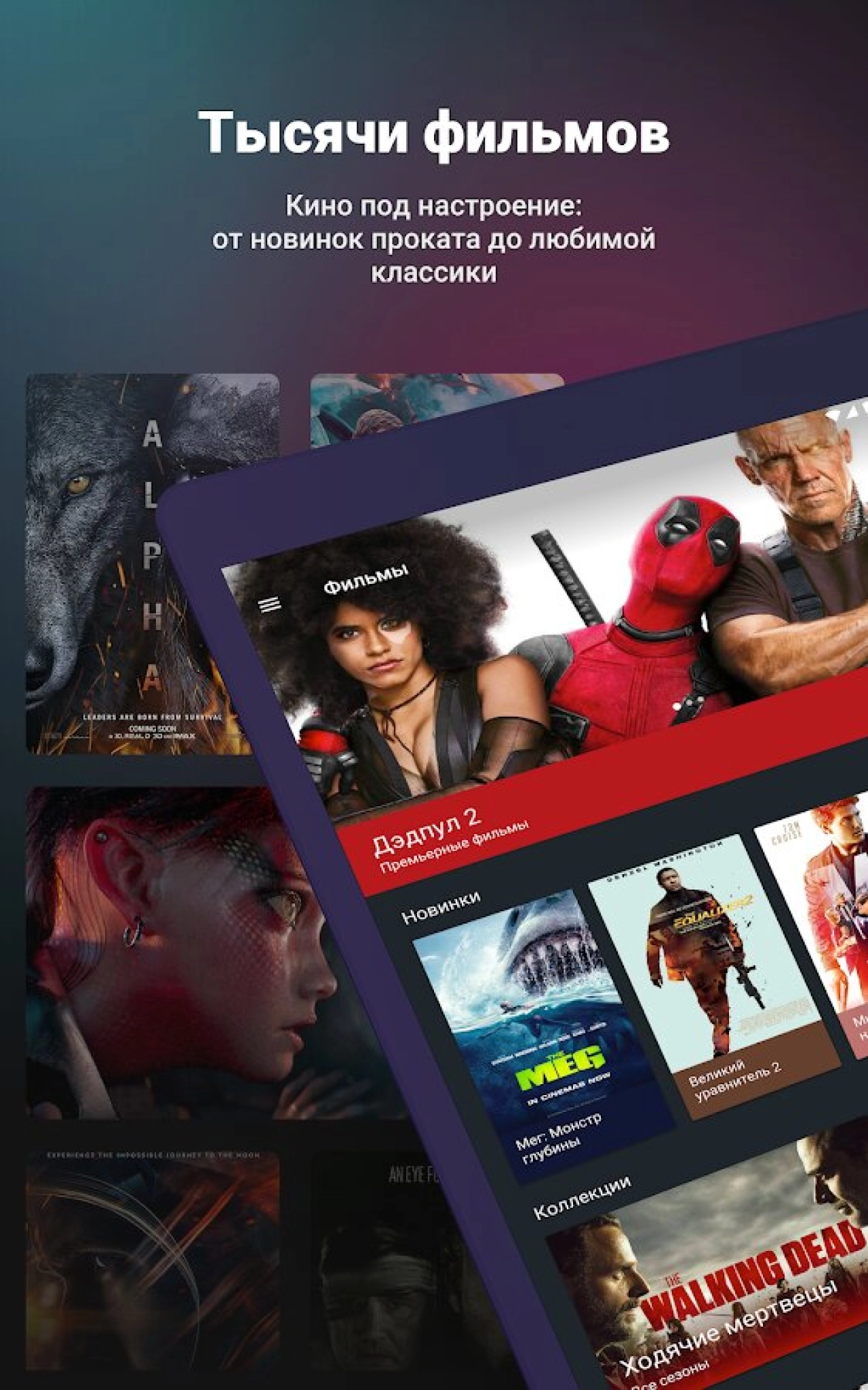Screenshot #14 - WINK 1.44.1