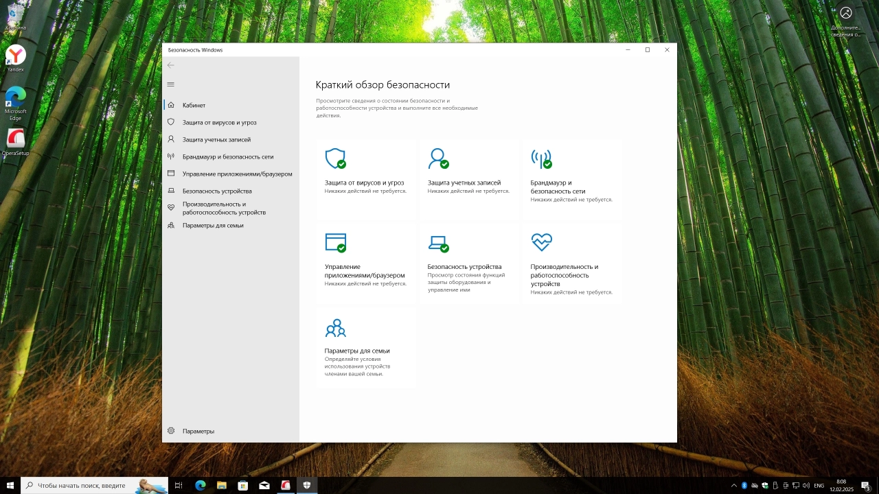 Screenshot #5 - Windows 10 Pro 22H2 Build 19045.5487 Full Февраль 2025