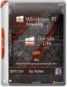 Windows 10 Enterprise x64 Lite 1709 (16299.15) for SSD v1