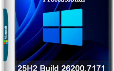 Windows 11 Pro 25H2 Build 26200.7171 Full Ноябрь 2025