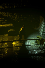 Screenshot #11 - The Order of the Snake Scale