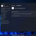 Screenshot #4 - Windows 11 Enterprise 2024 LTSC Full version [26100.560]