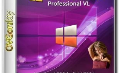 Microsoft Windows 10 Professional VL x86-x64 v.1803 17134.228 RS4 by OVGorskiy 08.2018