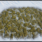 Screenshot #3 - Terrain Materials VOL.4