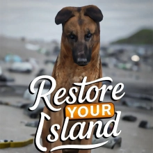 Restore Your Island: +14 трейнер