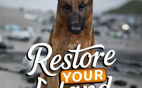 Restore Your Island: +14 трейнер