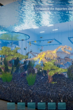 Screenshot #10 - Aquarist