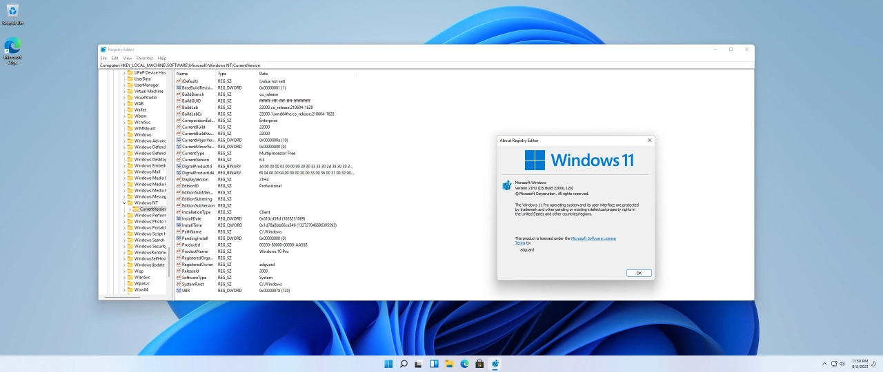 Screenshot #7 - Windows 11 DEV, Version 21H2 with Update AIO (x64) by adguard