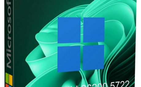 Windows 11 Pro 25H2 Build 26200.5722 Dev