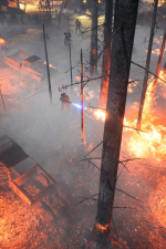 Screenshot #3 - Survive the Fall