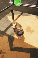 Screenshot #12 - Animal Shelter