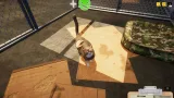 Screenshot #12 - Animal Shelter