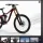 Downhill BIke (MTB) UE5.7+