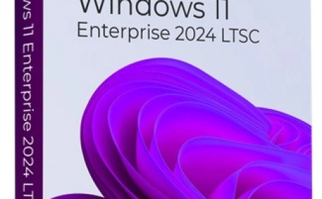 Windows 11 Enterprise LTSC 24H2 build 26100.6584 Lite