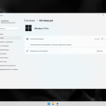 Screenshot #6 - Windows 11 Pro Русская 24H2 Build 26100.4652 Stable