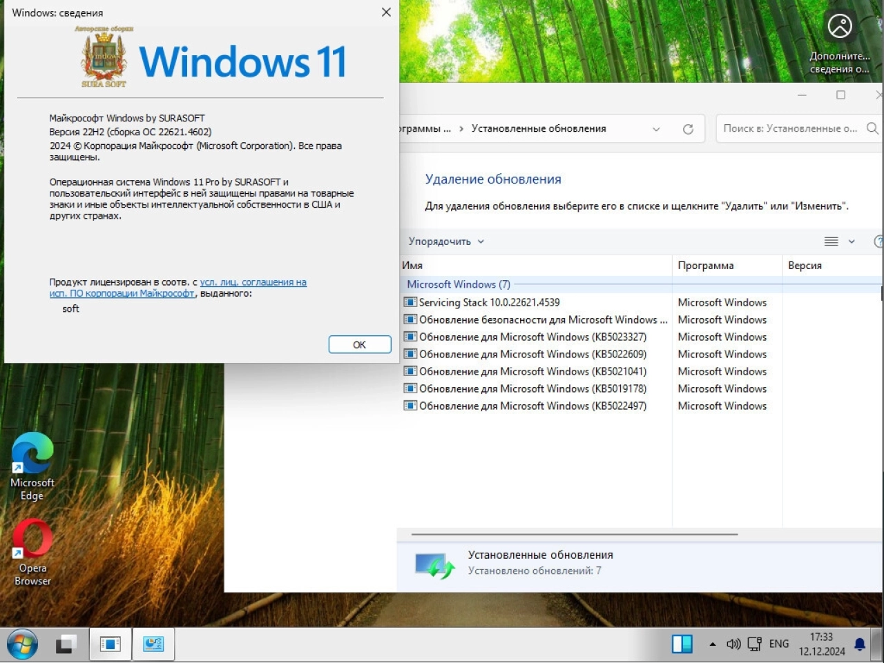 Screenshot #3 - Windows 11 Русская 26100.2033_22261_22361.4602.Mod by SURASOFT