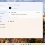 Screenshot #6 - Windows 11 Pro 24H2 Build 26100.2894 Full Январь 2025