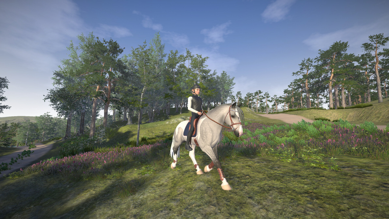 Screenshot #10 - Astride