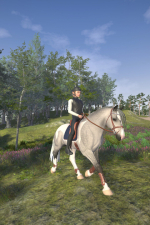 Screenshot #10 - Astride