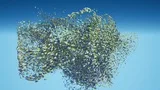 Screenshot #2 - Advanced Flock System – Multithreaded Fish AI and Reactive School Behavior UE5.5  v1.3.7